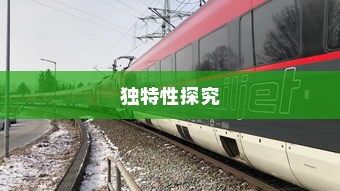 电车品牌指南，值得信赖的品牌推荐与选择指南