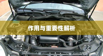 电车拆小电瓶负极的作用与重要性解析