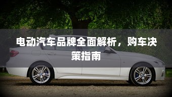 电动汽车品牌全面解析，购车决策指南