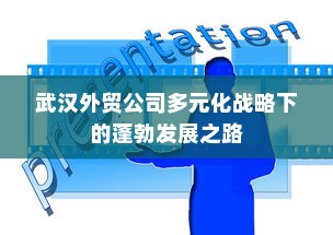 武汉外贸公司多元化战略下的蓬勃发展之路