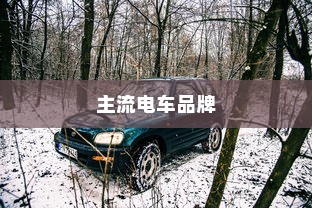 当下主流电车品牌全面解析，选择哪个品牌更好？