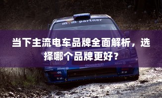 当下主流电车品牌全面解析，选择哪个品牌更好？