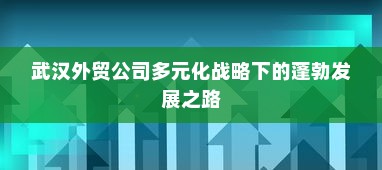 武汉外贸公司多元化战略下的蓬勃发展之路
