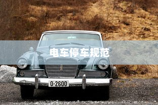 电车停车规范与变电箱安全考量，电车停放位置需谨慎选择，能否靠近变电箱？