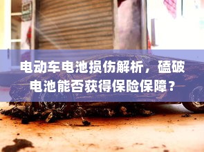 电动车电池损伤解析，磕破电池能否获得保险保障？