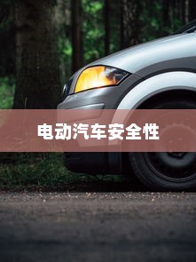 解析电动汽车的安全性，停车状态下是否会自燃？