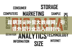昆明顶尖外贸大数据网，引领外贸行业迈入新时代