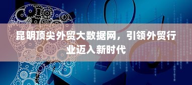 昆明顶尖外贸大数据网，引领外贸行业迈入新时代