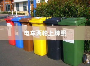 电车两轮上牌照知识解析与应用指南  第2张