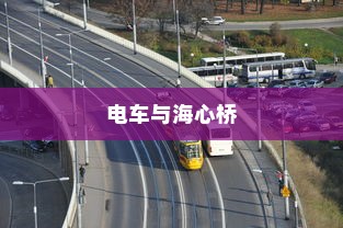 城市出行新探索，电车能否驰骋至海心桥？