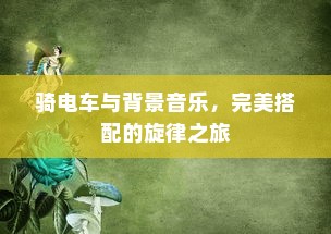 无线路由器加密详解，如何保障网络安全与数据传输安全