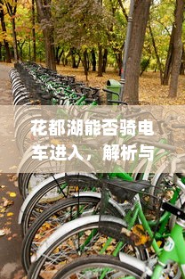 花都湖能否骑电车进入，解析与探讨