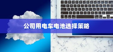 公司用电车电池选择策略