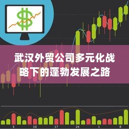 武汉外贸公司多元化战略下的蓬勃发展之路