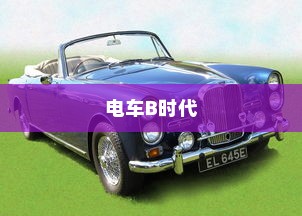 电车B时代，品牌对比与选购攻略