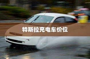 特斯拉充电车价位与市场吸引力分析