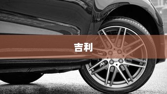 吉利走向油改电之路的探究