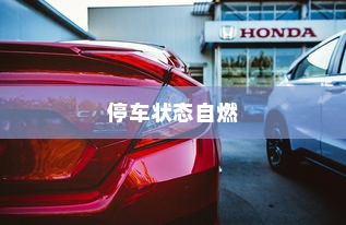解析电动汽车的安全性，停车状态下是否会自燃？