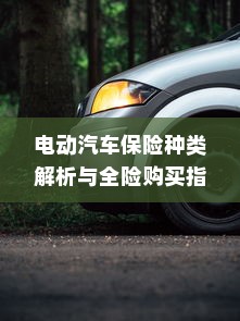 电动汽车保险种类解析与全险购买指南
