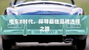 电车B时代，探寻最佳品牌选择之路