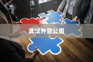 武汉外贸公司多元化战略下的蓬勃发展之路