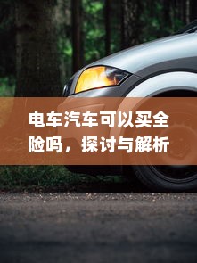 电车汽车可以买全险吗，探讨与解析