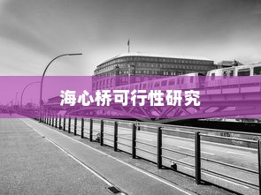 骑电车前往海心桥的可行性研究