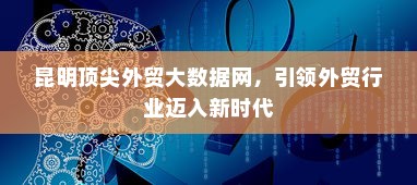昆明顶尖外贸大数据网，引领外贸行业迈入新时代