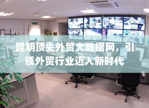昆明顶尖外贸大数据网，引领外贸行业迈入新时代