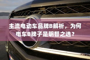 主流电动车品牌B解析，为何电车B牌子是明智之选？