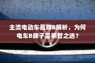 主流电动车品牌B解析，为何电车B牌子是明智之选？