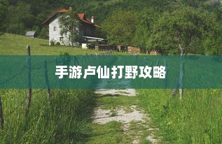 手游卢仙打野攻略，玩转野外战场技巧
