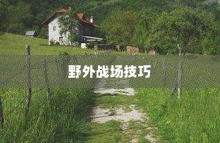 手游卢仙打野攻略，玩转野外战场技巧