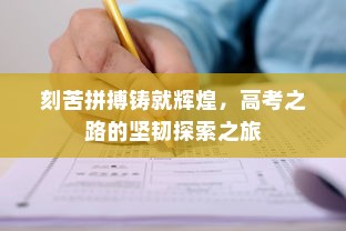 刻苦拼搏铸就辉煌，高考之路的坚韧探索之旅
