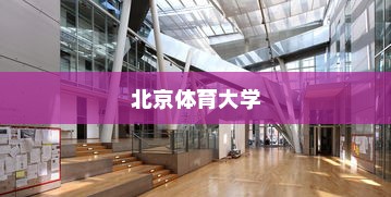 北京体育大学福建录取情况全面解析