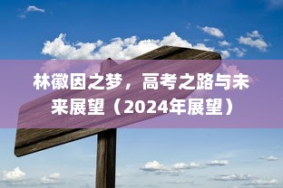 林徽因之梦，高考之路与未来展望（2024年展望）