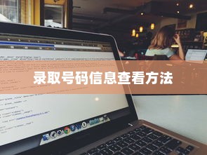 大学录取信息查询全攻略，轻松掌握录取号码信息查看方法