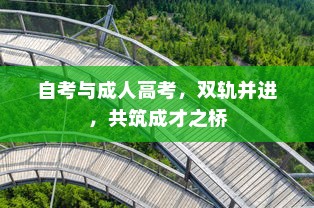 自考与成人高考，双轨并进，共筑成才之桥