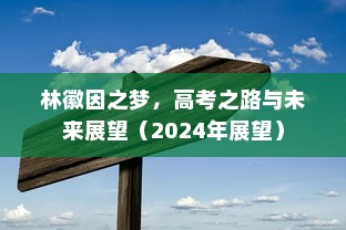 林徽因之梦，高考之路与未来展望（2024年展望）