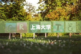 上海大学，多元开放国际高等教育之路的录取概览