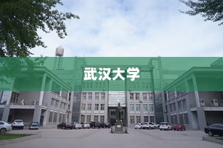 武汉大学河南录取政策深度解析