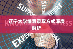 辽宁大学编导录取方式深度解析