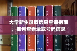 大学新生录取信息查询指南，如何查看录取号码信息