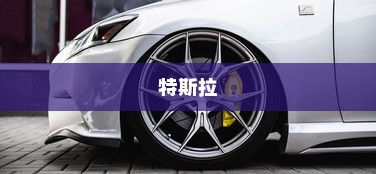特斯拉，世界上最出名的新能源车企，美国电动汽车的领跑者