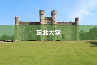 2024全美实习资源最丰富大学排名，东北大学荣登榜首