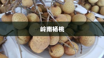 岭南杨桃