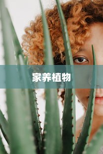 适合家养的十种植物，绿色生活从家中绿植开始