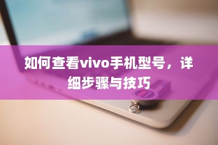 如何查看vivo手机型号，详细步骤与技巧