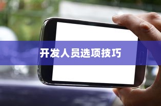 华为手机打开开发人员选项的详细技巧