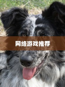 热门排行前十的网络游戏推荐，值得一玩的网络游戏介绍